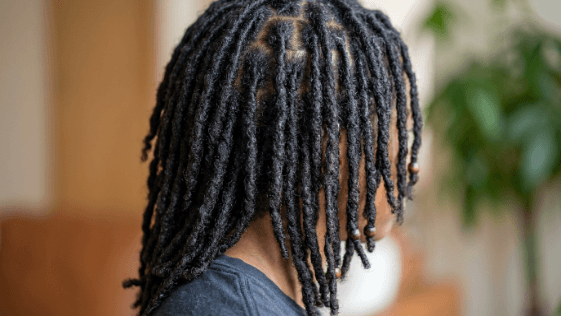Close-up of neatly maintained mature locs on a person with dark hair